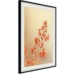 Arkiio Affisch Fiery Grass [Poster] 20x30 Poster